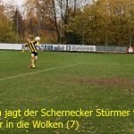 IMG_7133