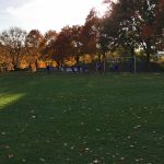IMG_20211023_164746