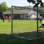 IMG_8527