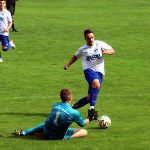 IMG_9454